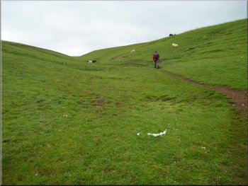 Path across the fields towards Waitby