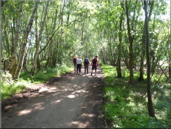Following the lane into the reserve