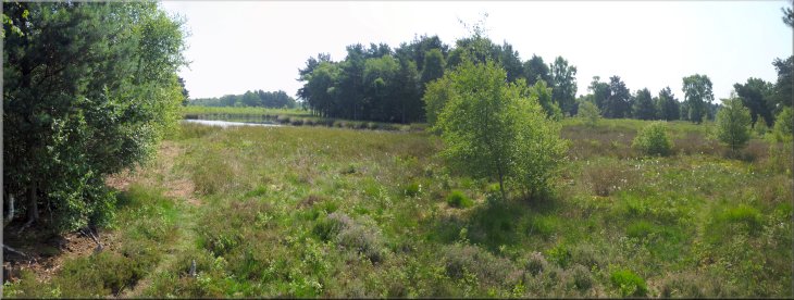 View over the heath to a pond formed by peat digging