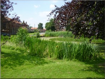 The pond on the village green in Skipwith