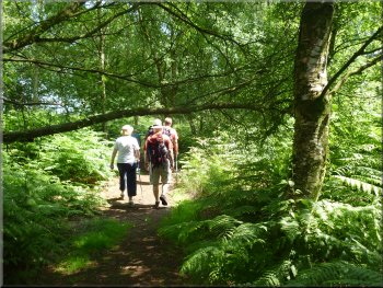 Path through the northern edge of the nature reserve