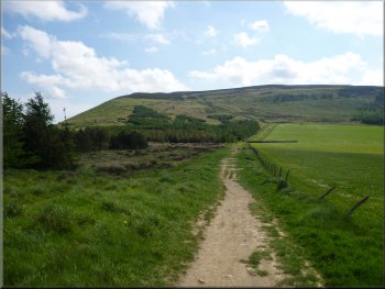 The Cleveland Way route heading for Cringle Moor