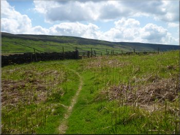 Path around the eastern end of Cringle Moor