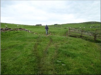 Still climbing on a bridleway after crossing a farm access track