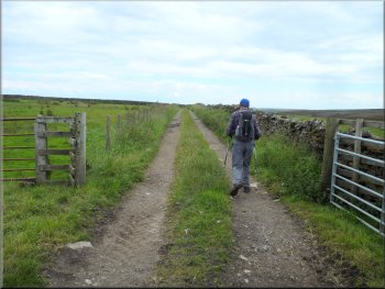 The bridleway continues along the track between the fields