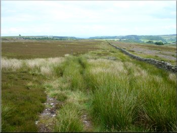 Path across Skelton Moor with the stone wall to the right