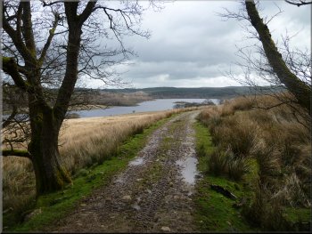 The old railway path leading towards the Fishing Lodge