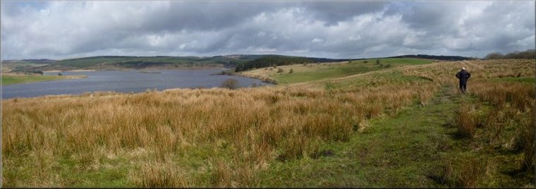Looking north across Stocks Reservoir on the edge of Grizedale Forest