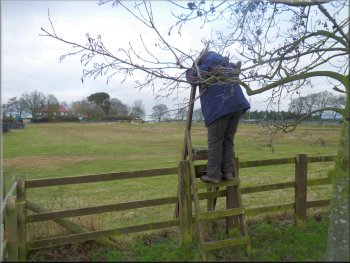 Ladder stile out of the school playing field