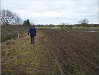 Path across the fields from Fawdington House