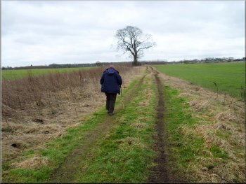 Following Ewe Hole Lane between the fields