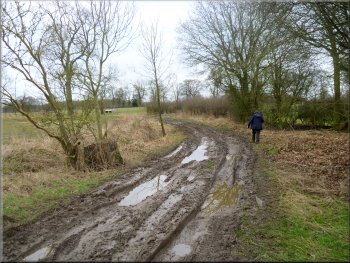 Brecks Lane cut into muddy ruts
