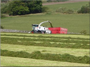 This machine kept 3 tractors busy leading the grass away and returning for more