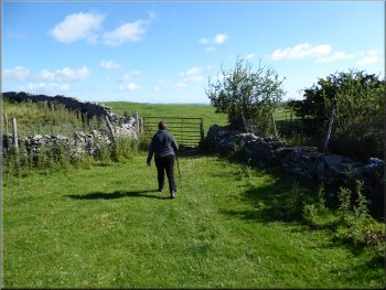 Following the Six Dales Trail over Williams Hill