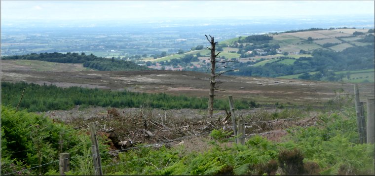 Looking back over Osmotherley to the Vale of Mowbray from the slopes of Black Hambleton