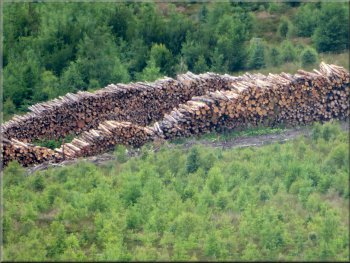 Part of a stack of timber about 100m long  below us