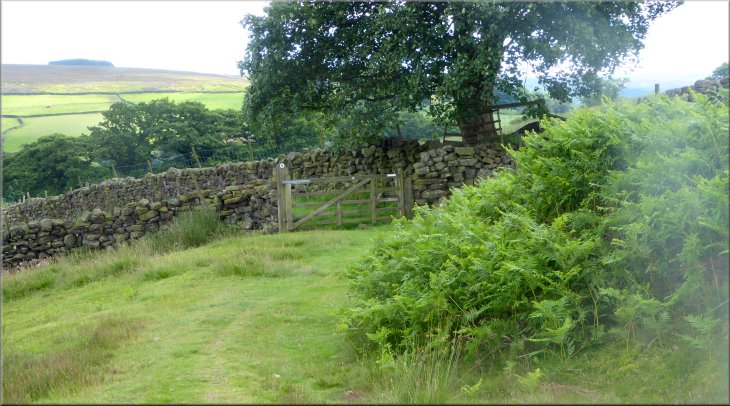 The path follows the wall down the hillside and at the gate it turns left to follow a bridleway towards the camera position