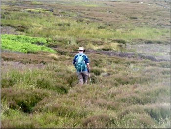 Following the bridleway across the moor
