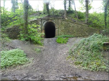 Access track under the railway on the left of the path