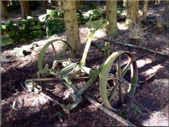 Agricultural implement lost in the woods