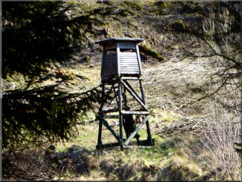 Observation/shooting tower in the woods