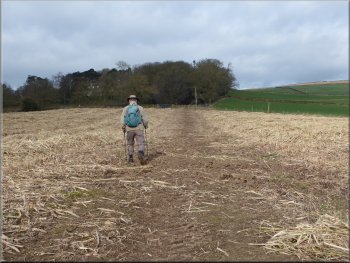 Crossing a stubble field to re-join the road