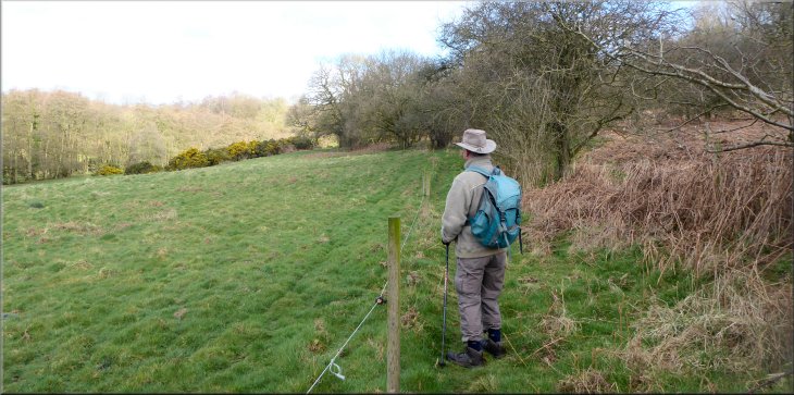 The path along the edge of the wood was marked by a single strand of electric fencing wire