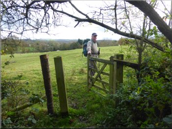 Gate into the last field before Crambe