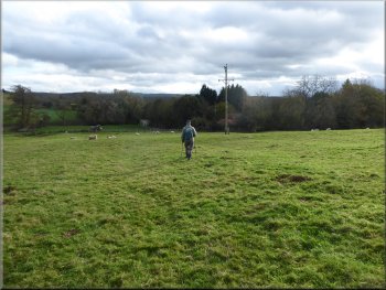 Crossing the field to the road at the edge of Crambe