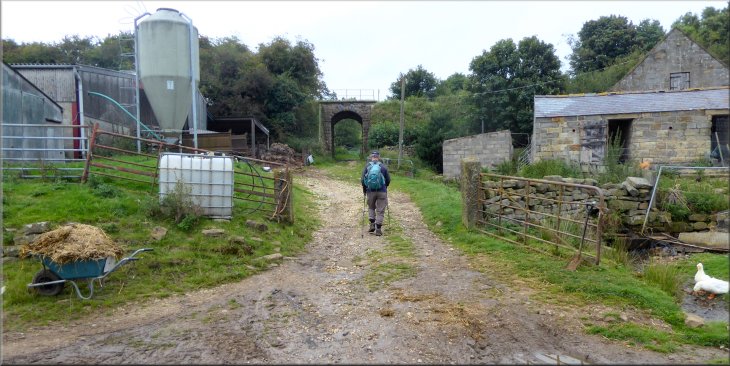 Turning left at Underpark Farm to leave the Esk Valley Walk and pass under the railway