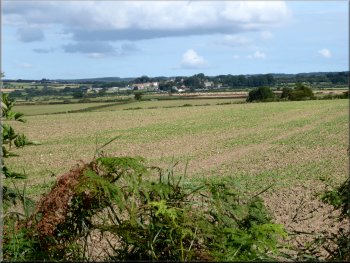 Looking across the fields back to Newton-on-Rawcliffe