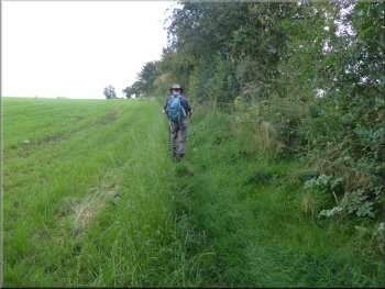 Heading for Newton-on-Rawcliffe along the edge of the field