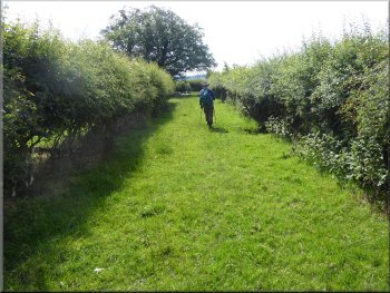 Bridleway along a grassy farm track towards Thirlby Grange