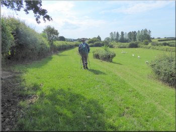 Bridleway along a grassy farm track towards Thirlby Grange