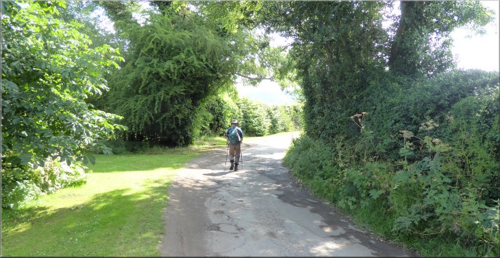 The road towards Thirlby from Thirlby Grange