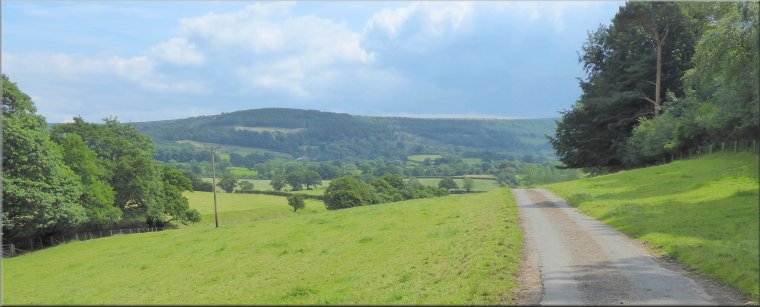 Looking east from the by-way near Cinque Cliff Wood to the route of the Cleveland Way along the ridge of the Hambleton Hills