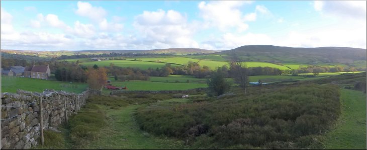 Looking across Westerdale to Tor Hill from the farm access track