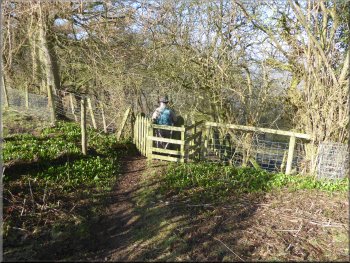 Kissing gate into a narrow strip of woodland