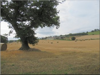 Looking across the stubble field to Crabtree House Farm