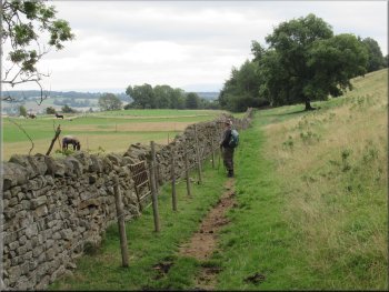 Following the bridleway still with the wall on our left