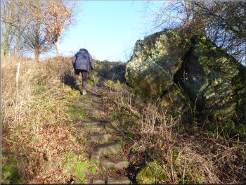 The stone steps up the outer rampart from the castle ditch