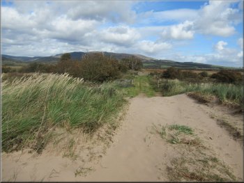 Looking back along the path from the sand dunes