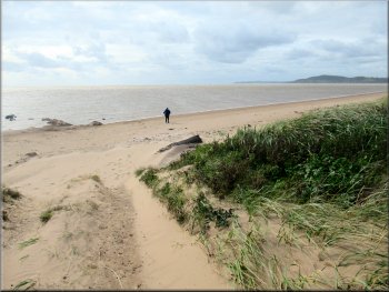 Path from the sand dunes down to the beach