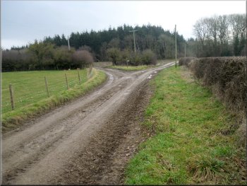 Turning left along the access track to Low Parks Farm