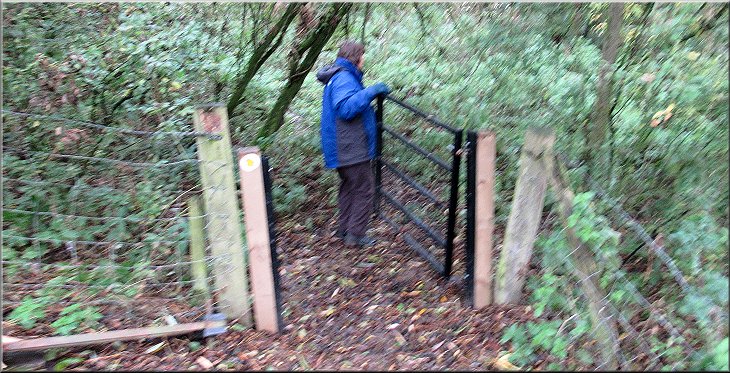 Gate from the field path into the wood
