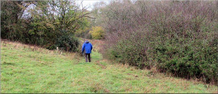 At the end of the field we followed the path through this wide gap in the hedge
