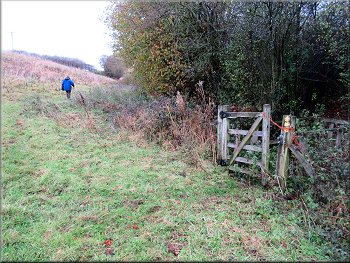 We continued along the field edge and ignored this gate