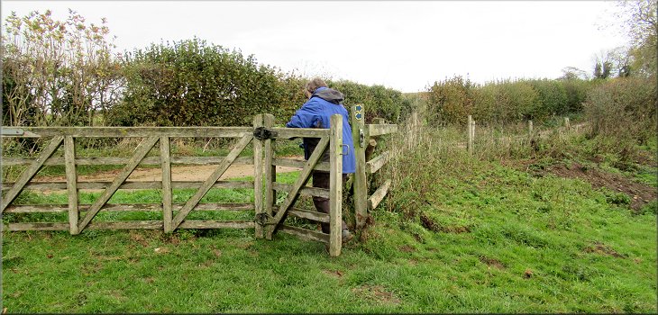 Gate from the field path on to Sleigh Lane