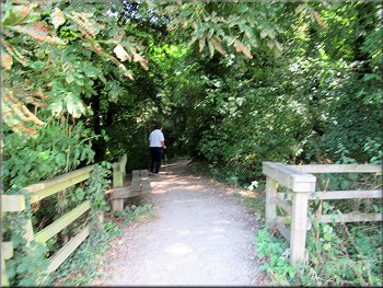 Woodland path to Dog Bark Lane