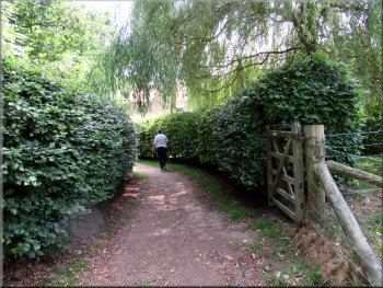 Path between tall beech hedges at Thornton Mill